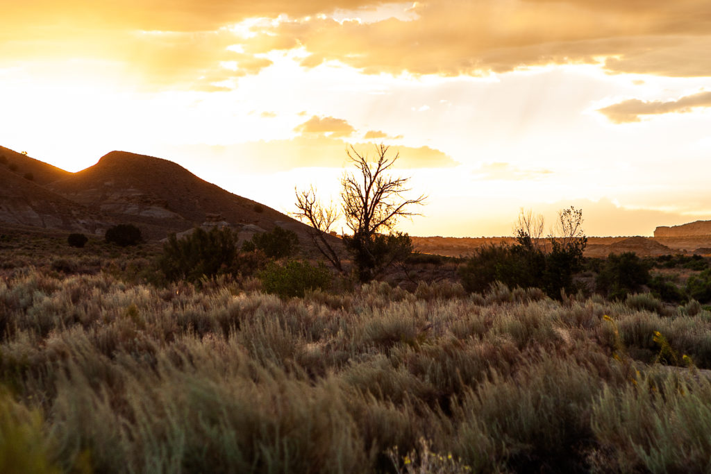 Commercial Printing Farmington NM San Juan Printing